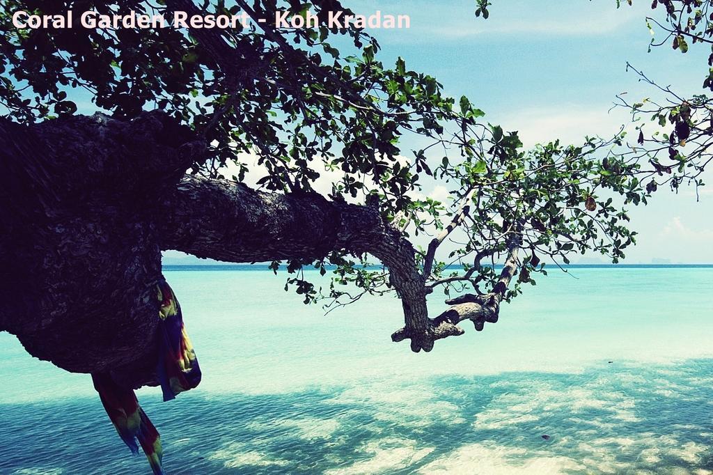 Coral Garden Resort Koh Kradan Buitenkant foto